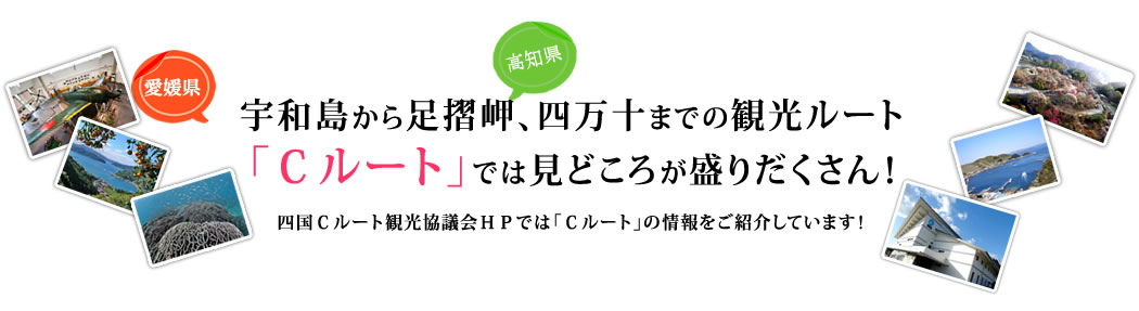 宇和島から足摺岬、四万十市までの観光ルート「Cルート」では見どころがが盛り沢山！